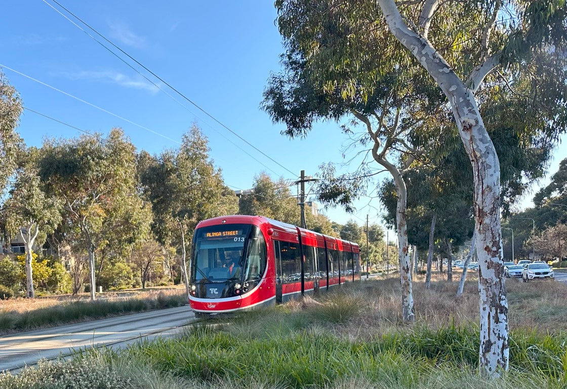 transport-canberra-tram
